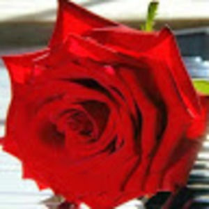 Meet your Posher, Dlisa